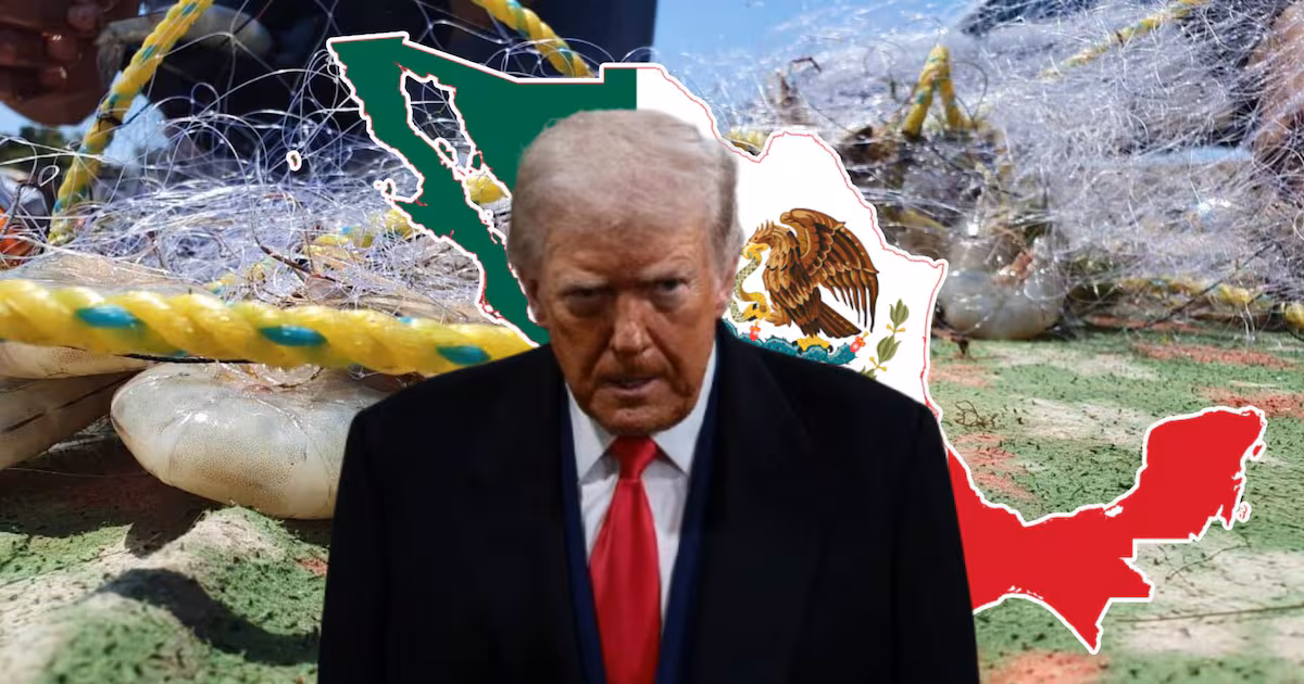  EEUU amenazó a México por presuntas pesca y tala de árboles ILEGALES, planea …