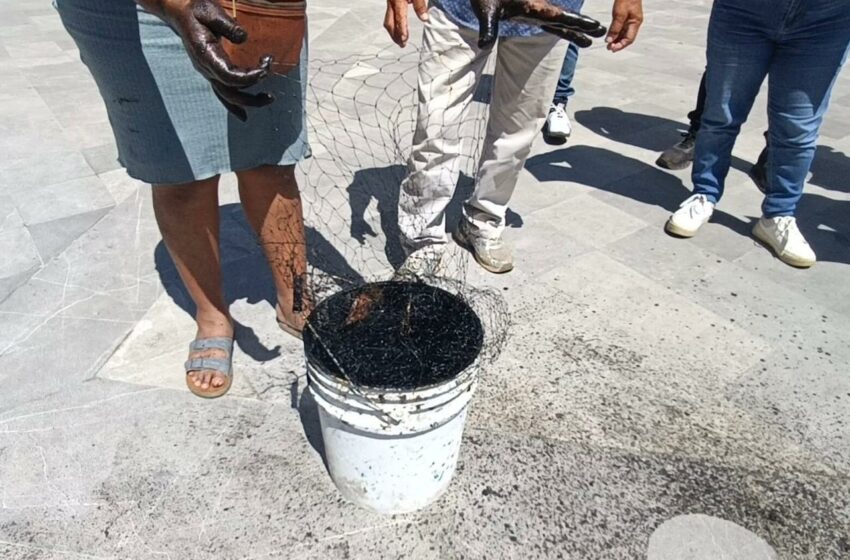  Pescadores de Agua Dulce protestan en Xalapa; denuncian exclusión de apoyos