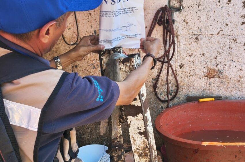  SSG suspende matadero particular en Pénjamo por riesgos sanitarios.