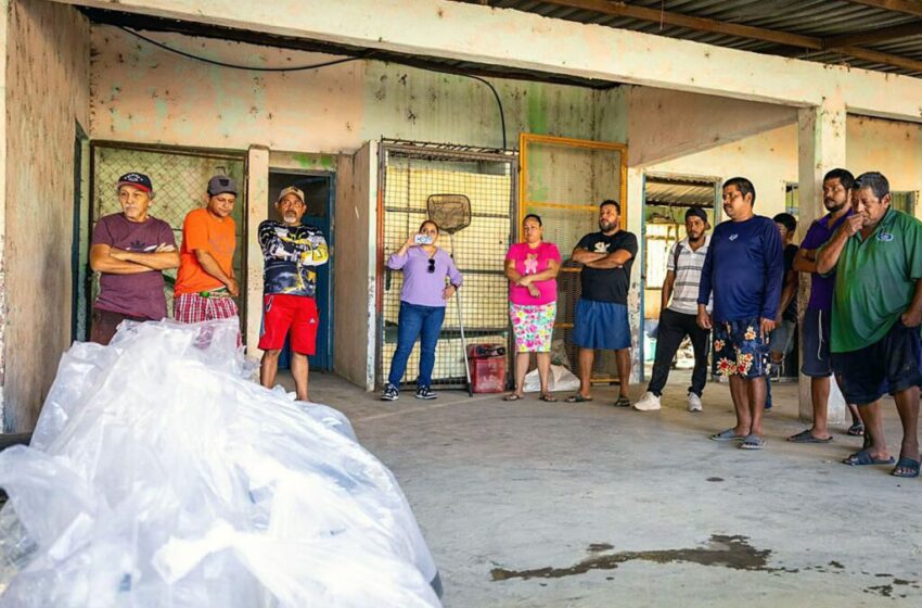  Impulsa Sagadegro producción acuícola con entrega de 40 mil crías de Tilapia, en La Unión