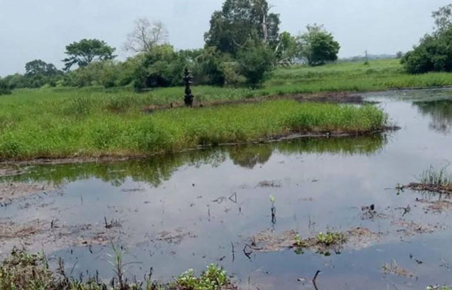  Derrames recurrentes en Minatitlán, Veracruz, reactivan alarma ambiental