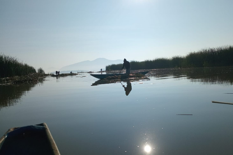  El lago de Pátzcuaro recobra vida; en 2026 se han descubierto 18 manantiales