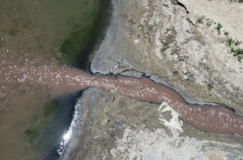  Azul: procesaron al presidente de un frigorífico de faena de aves por volcar efluentes …