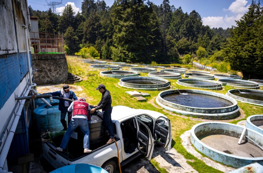  Gobierno de Guerrero impulsa la acuacultura con apoyo directo a productores de trucha