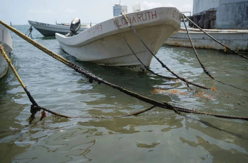  Afecta a más de 20 mil pescadores derrame en Veracruz – Primera Línea