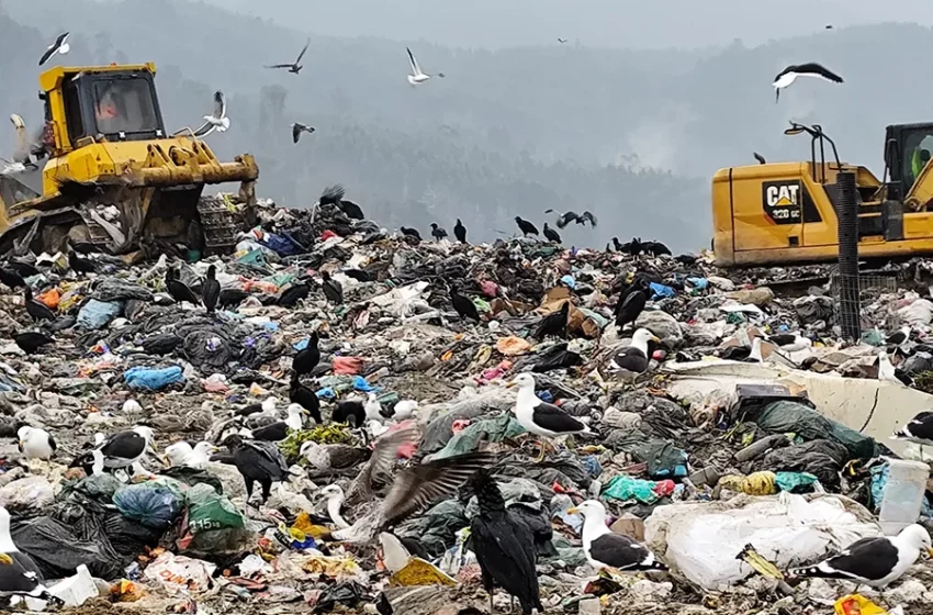  UFRO y Ministerio del Medio Ambiente impulsan beca de acompañamiento para proyectos …