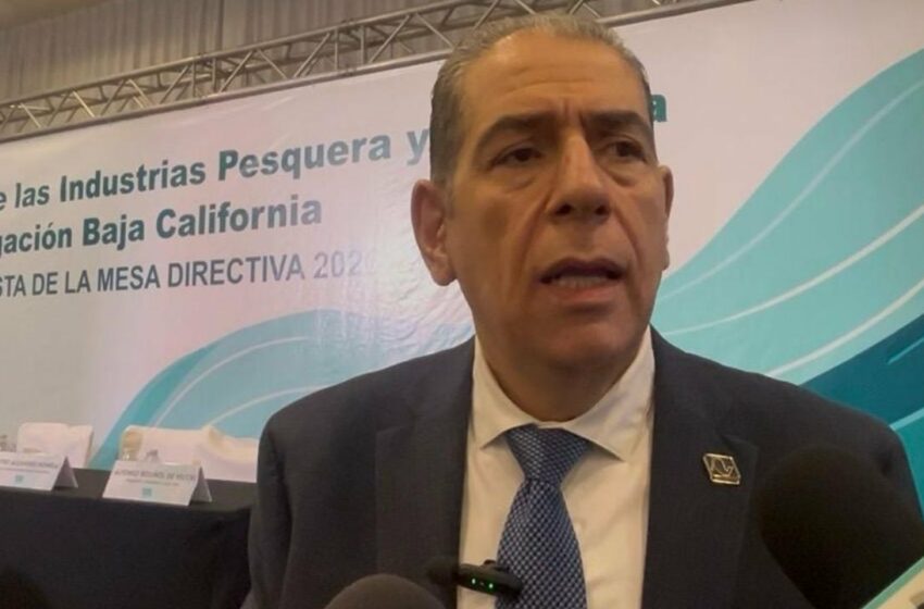  Necesario mayor apoyo al sector pesquero nacional – El Vigia