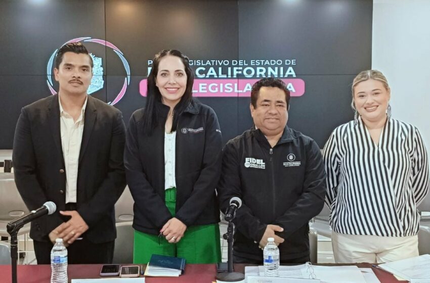  Pide Congreso atender tema de gusano barrenador | Periodico El Vigia