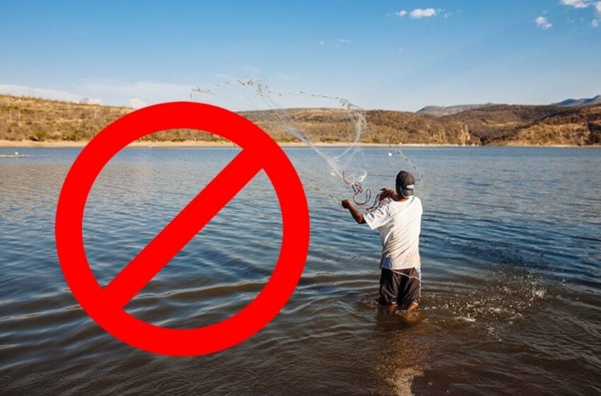  Prohíben pescar, vender y comer los peces en la presa de este municipio de Hidalgo