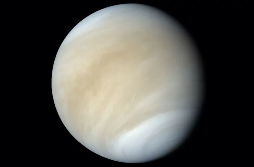  La atmósfera de Venus presenta similitudes clave con la de la Tierra (y podrían albergar diferentes formas de vida)