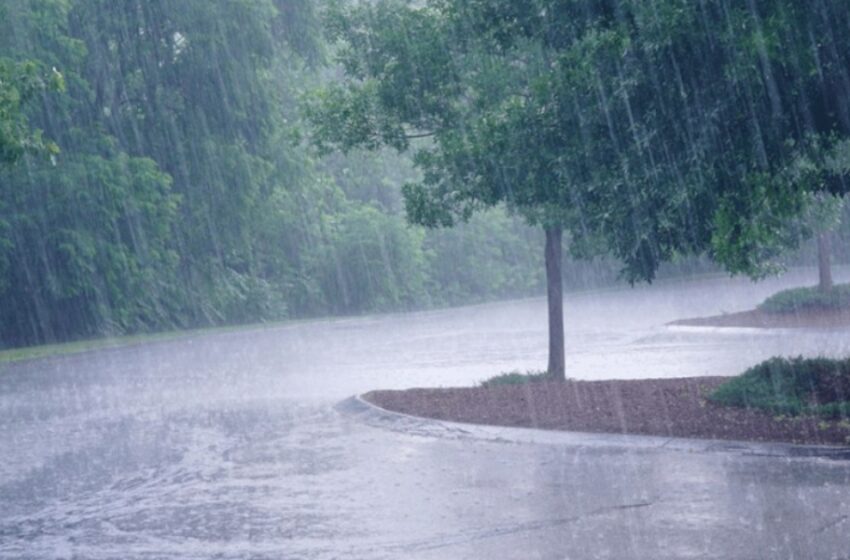  Frente frío 43 ocasionará lluvias de intensas a fuertes en gran parte del país – El Arsenal