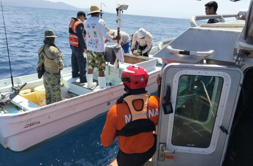  Marina y Conapesca retienen producto y artes de pesca por actividades irregulares en la …