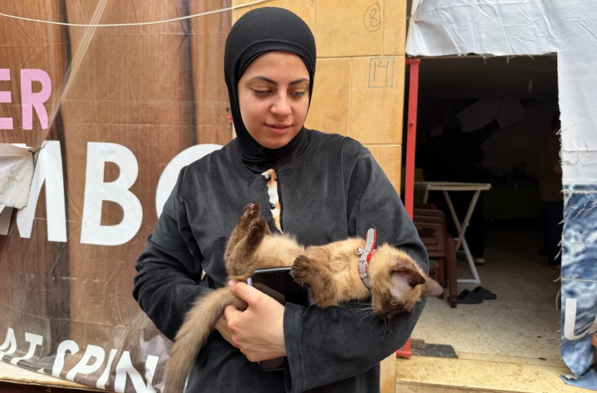  Se necesita urgentemente intensificar la ayuda humanitaria en Líbano tras casi dos meses de devastación