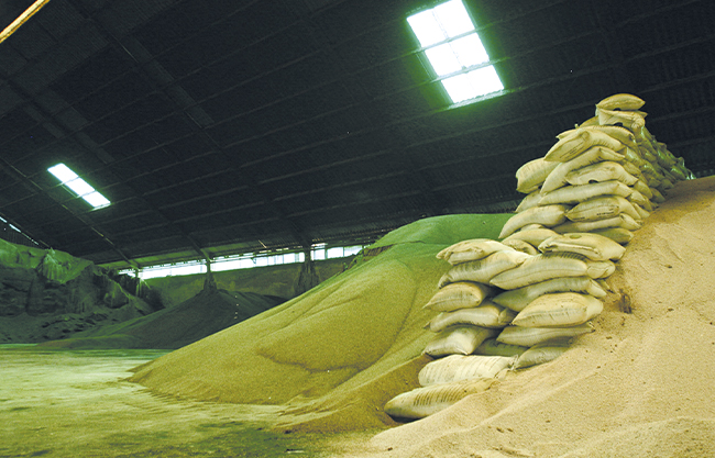  Impacta crisis global de fertilizantes al país; Alimentos, en riesgo – Periódico Zócalo