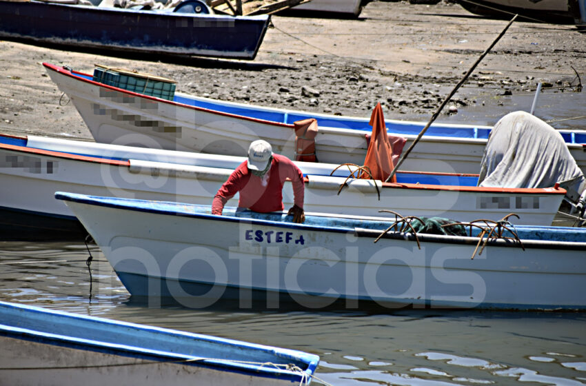  Congreso de BCS exige al Ejecutivo Federal reglamentar la Ley de Pesca pendiente desde 2007