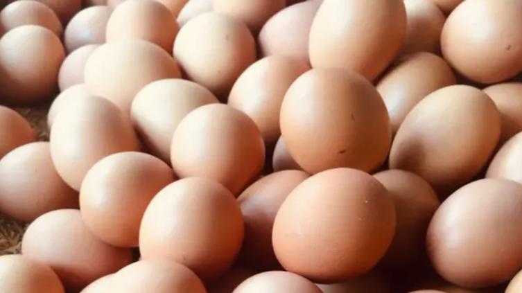  ¿Huevos por la mañana o por la noche? Esto dicen expertos – Puente Libre