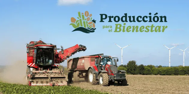  Requisitos para recibir el pago de Producción para el Bienestar 2026