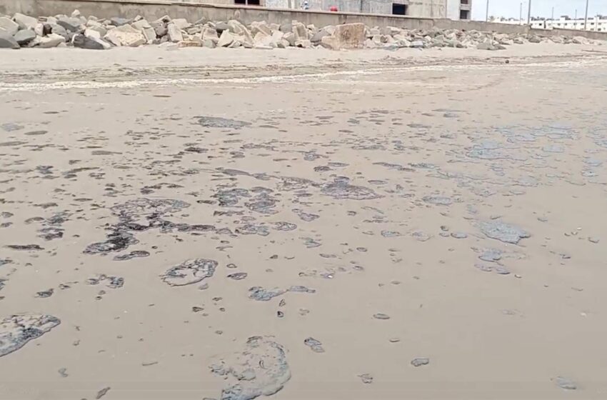  Autoridades de Medio Ambiente Recorren Playa de Coatzacoalcos Afectada por Hidrocarburo | N+