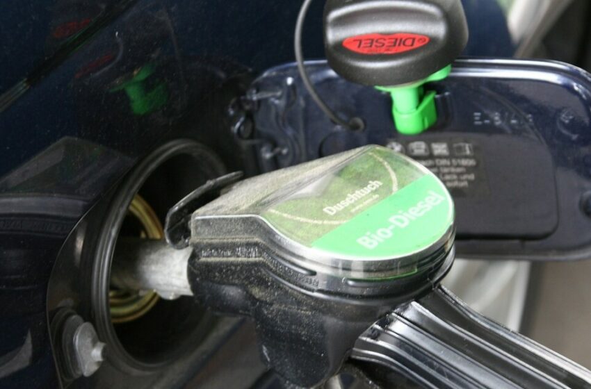  ¿Sigue subiendo? Este es el precio de la gasolina HOY en San Luis Potosí