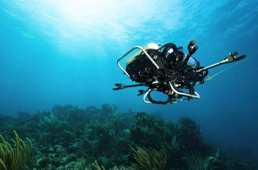  CUREE, el robot submarino que monitoriza los arrecifes – Forbes España
