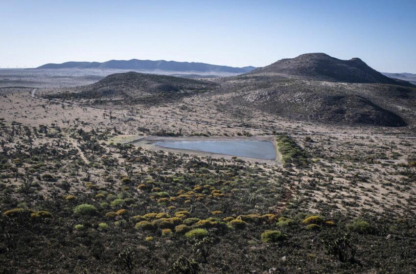  Wirikuta bajo la sombra de la minería | Chiapasparalelo