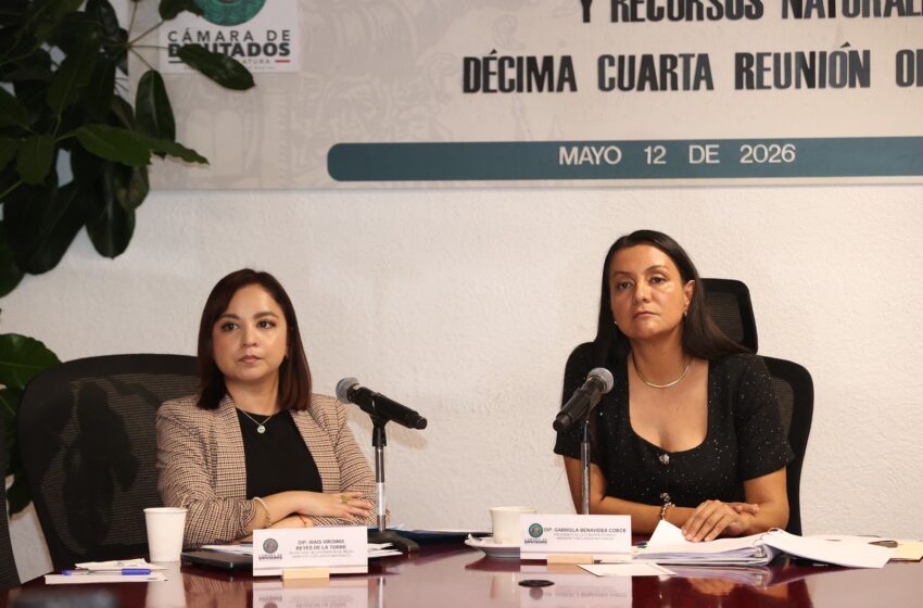  Comisión de Medio Ambiente y Recursos Naturales aprobó incluir en la ley el concepto …