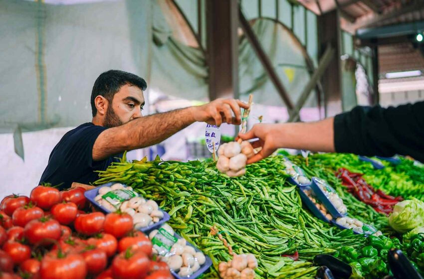  Cómo solicitar Calfresh si eres inmigrante y necesitas ayuda para comida – Ecoportal
