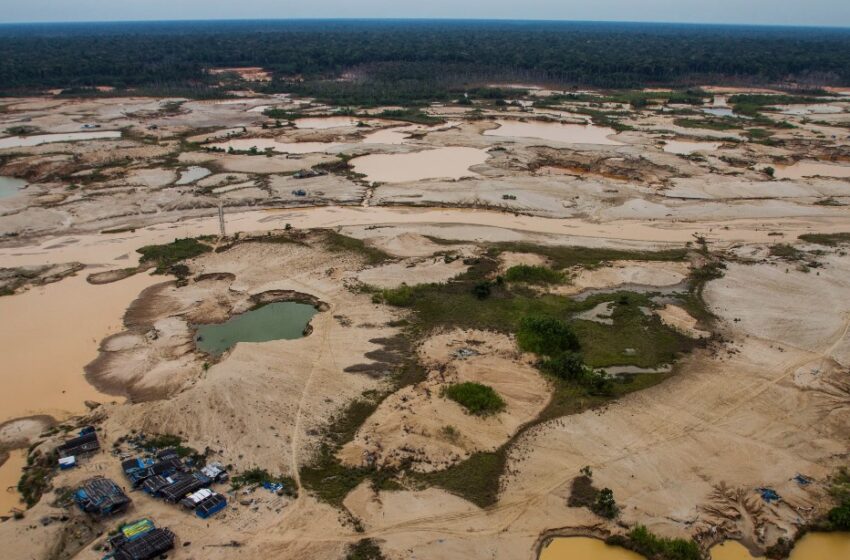  Minería ilegal bate récord y mueve más de US$11 mil millones en exportaciones de oro