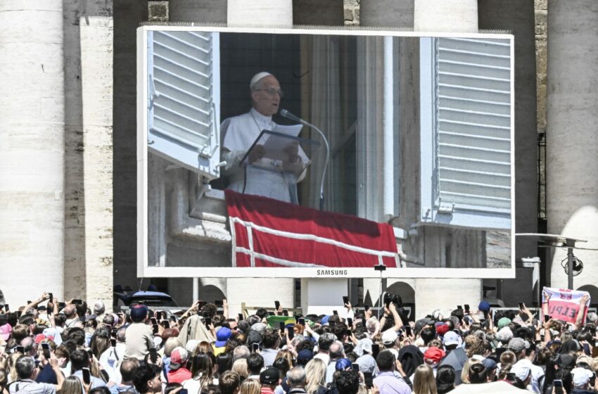  El papa lamenta que las guerras han frenado avances sobre el cuidado del medio ambiente
