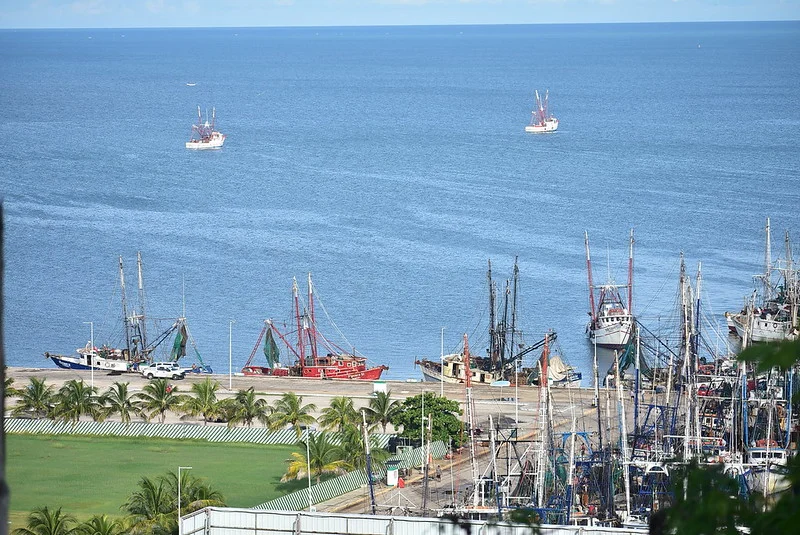  Pescadores de Campeche piden reforzar vigilancia ante inicio de la veda de camarón