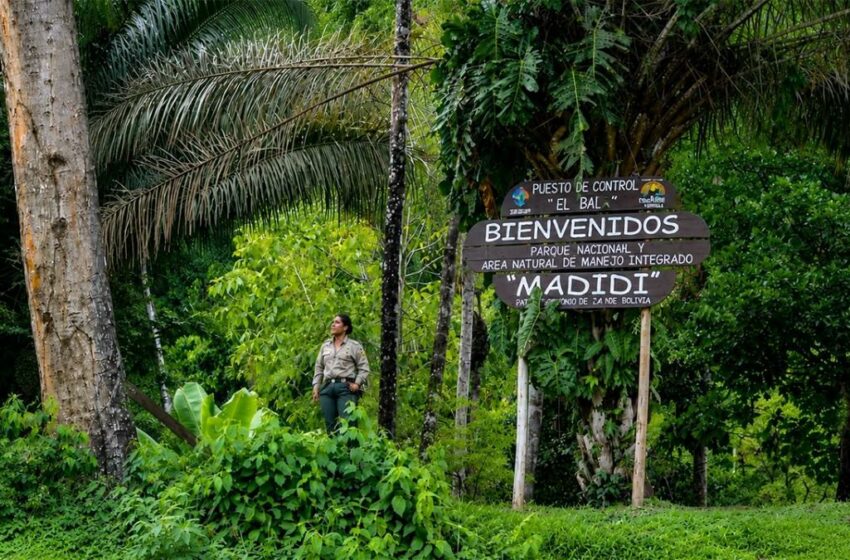  AFCOOP paraliza minería en el parque nacional Madidi – La Patria 3.0 | Periódico digital de Bolivia