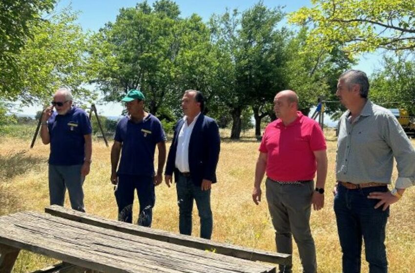  Medio Ambiente realiza por primera vez desbroce en Gamonal – La Tribuna de Toledo