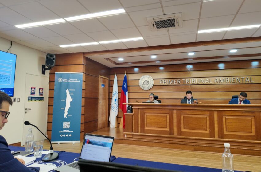 En audiencia se revisó medida cautelar que mantiene detenida la revisión de la RCA de la …