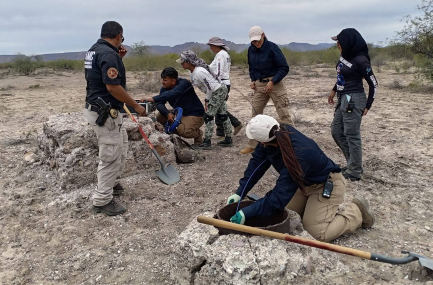  Colectivo de Búsqueda Localizó una Fosa Clandestina con Restos Óseos en Empalme, Sonora