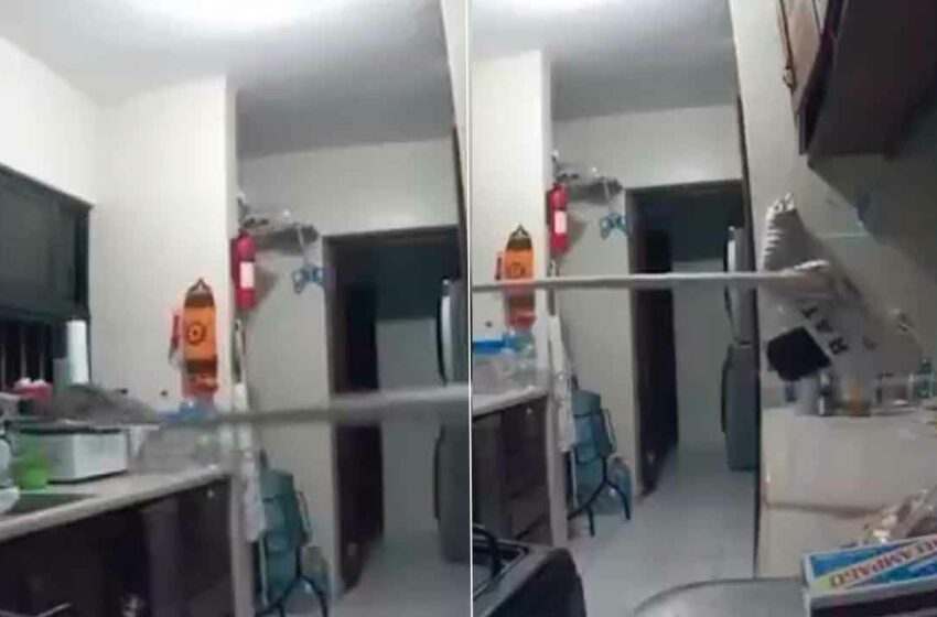  #VIDEO // Ladrón “pesca” celular por la ventana usando un palo con pegamento para ratones …