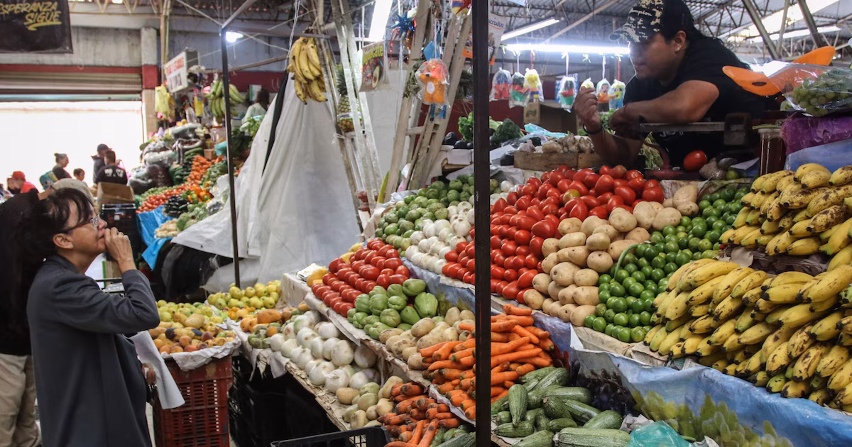  Jitomate, alimentos y bebidas consumidas fuera del hogar presionan costo de la canasta …