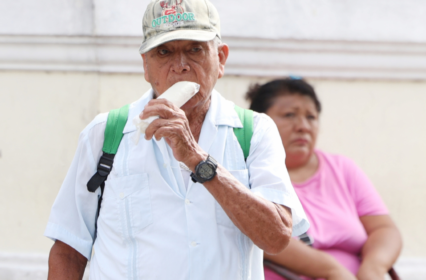  Males intestinales al alza en Yucatán