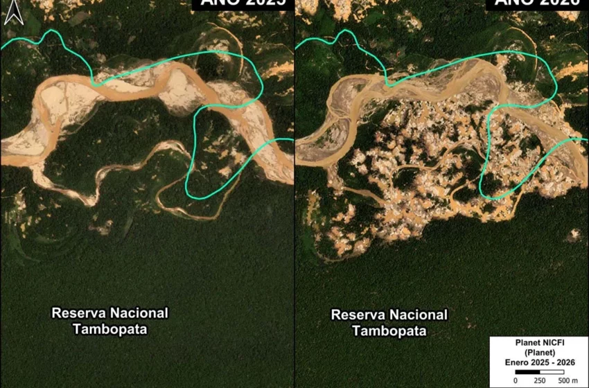  Madre de Dios: más de 500 hectáreas deforestadas por minería ilegal en la Reserva …