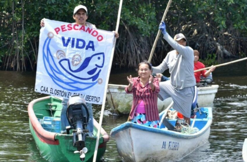  Tabasco amplía programa Pescando Vida e incluye por primera vez Centro