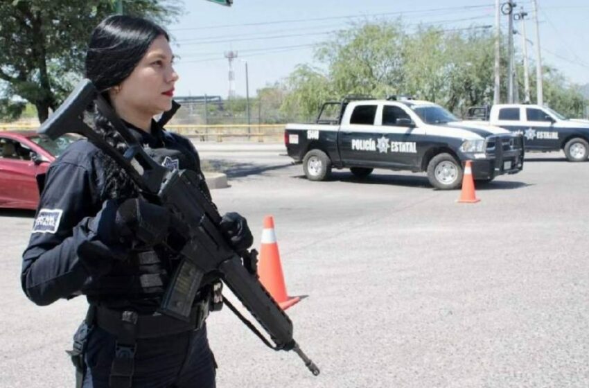  Aseguran en Sonora más de mil dosis de narcótico en operativos contra narcomenudeo