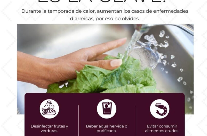  Llama Salud Sonora a prevenir intoxicaciones por alimentos durante temporada de calor