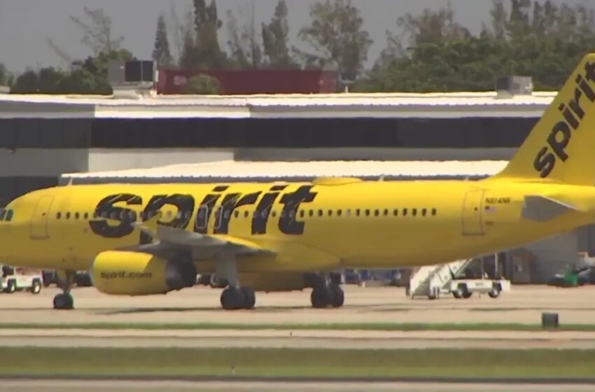  Trump: EEUU presenta «propuesta final» a Spirit en medio de informes de que la aerolínea podría cerrar – Telemundo 51