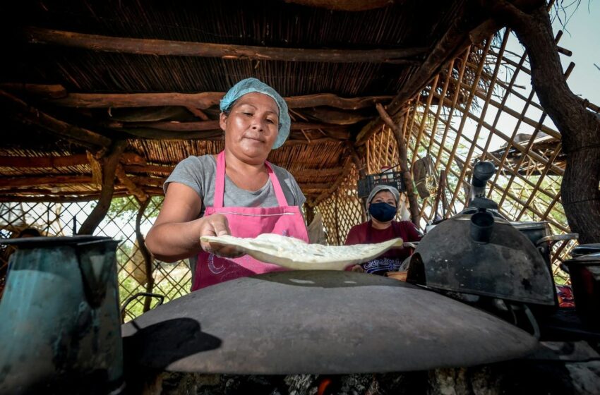  Sonora Aparece Entre los Mejores Destinos Gastronómicos del Mundo Según National Geographic