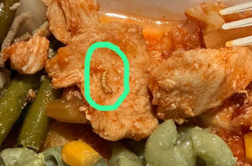 Preocupación en Guanajuato por hallazgo en alimentos durante Olimpiada Conade