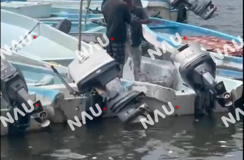  Promedian pesca de crustáceos a la baja en Chiapas – NAU Noticias A Tiempo Universales