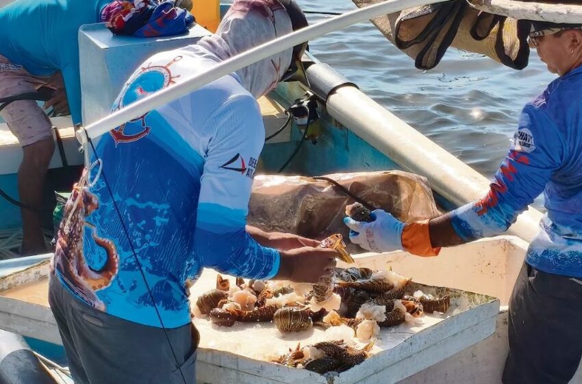  Refuerzan vigilancia en la costa yucateca