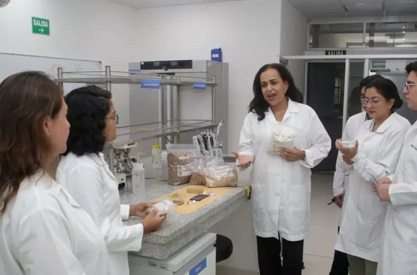 Alimentos del 2050: Innovaciones en la producción y sostenibilidad – Consulta Monterrey