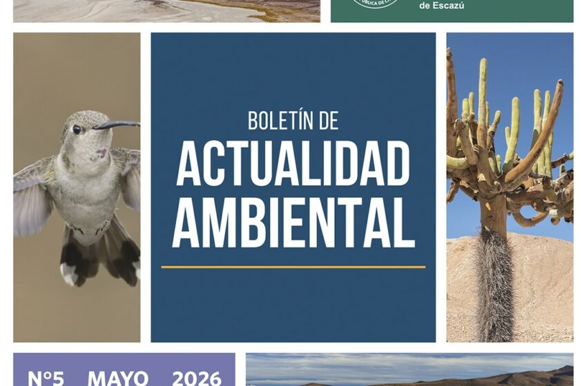  Primer Tribunal Ambiental publica nuevo número de su Boletín de Actualidad Ambiental