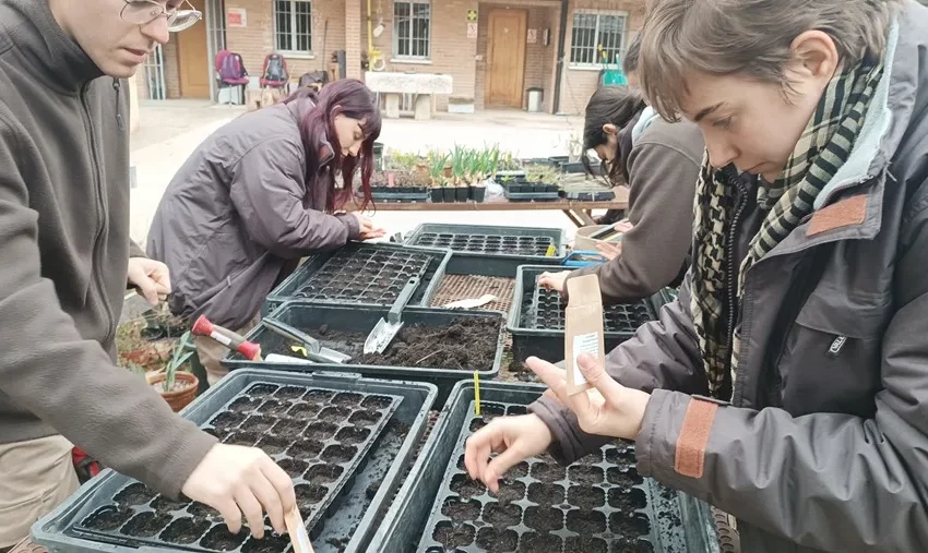  Plantas centenarias adaptadas al cambio climático que pueden crear empleo verde local – EFE