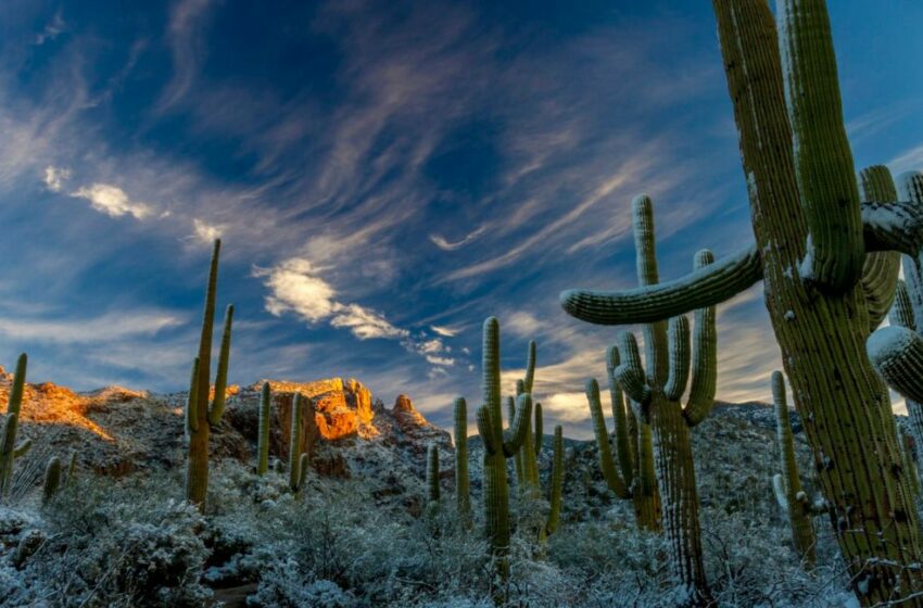  CLIMA en Sonora HOY 3 de mayo: Alertan CALOR de hasta 35°C; aquí las temperaturas …